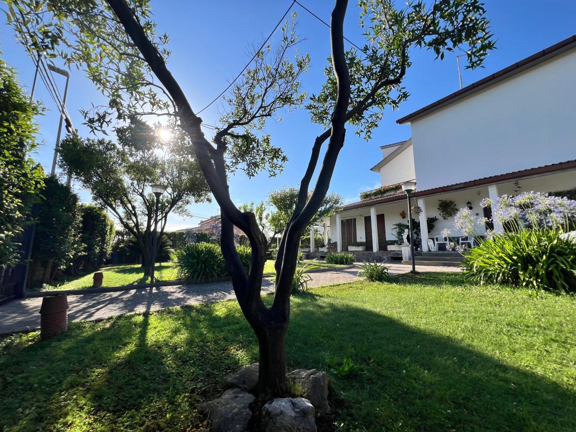 Giardino Degli Aranci B&B La Massimina-Casal Lumbroso Exterior photo
